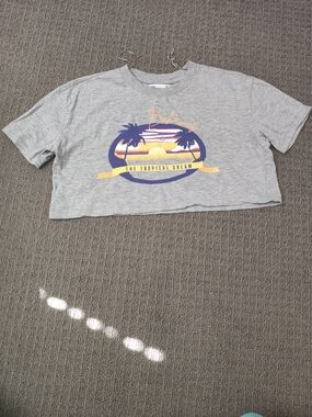 Gray Tropical Graphic Crop Tee - The Tropical Dream